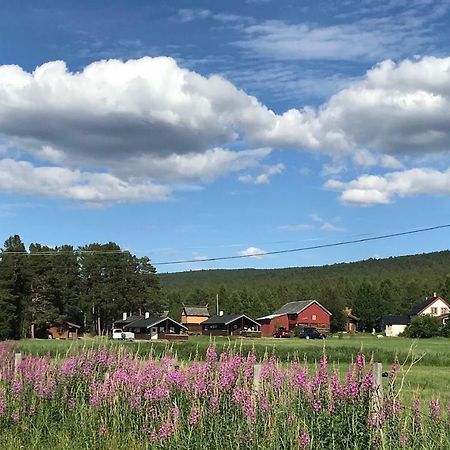Roste Hyttetun Og Camping Os (Hedmark) Kültér fotó