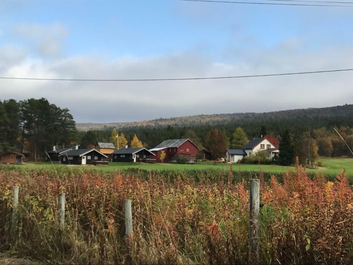 Roste Hyttetun Og Camping Os (Hedmark) Kültér fotó
