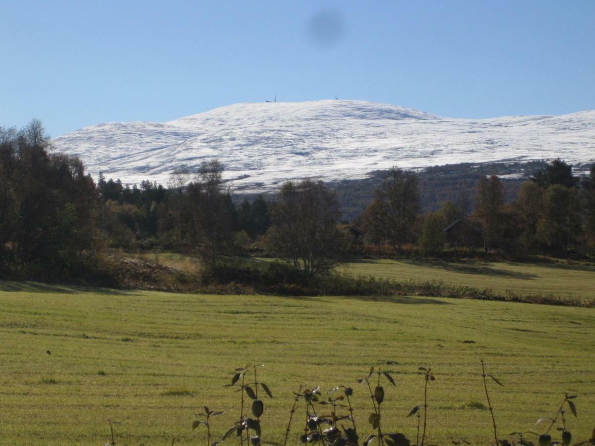Roste Hyttetun Og Camping Os (Hedmark) Kültér fotó
